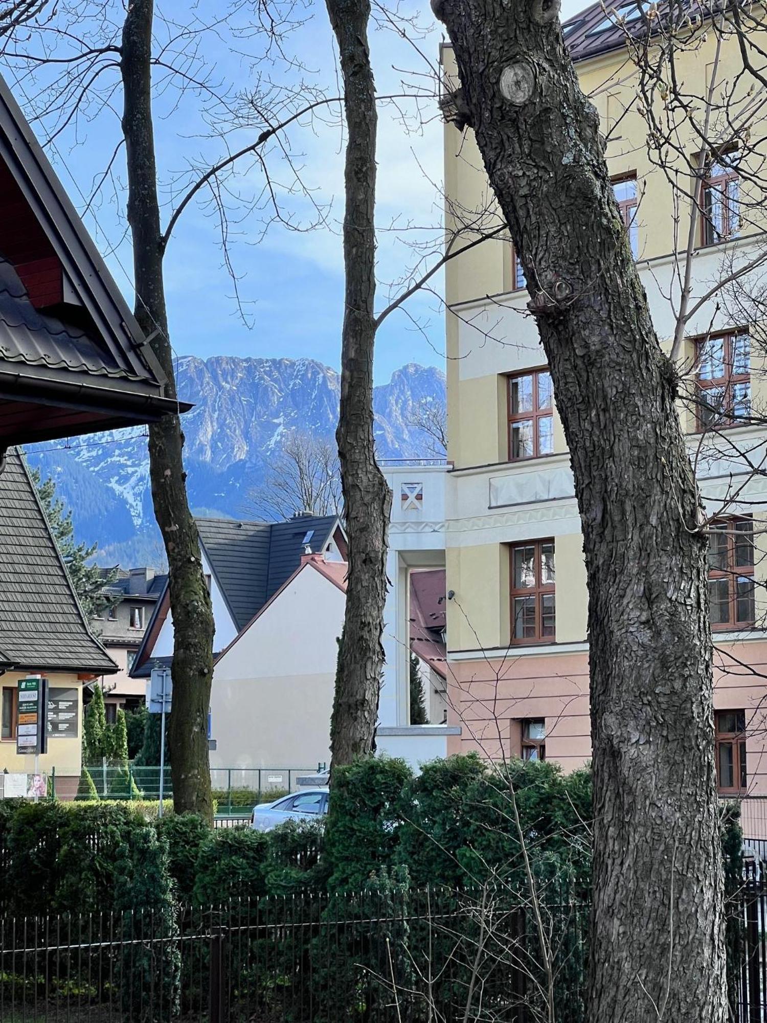 Willa Jasna Apartamenty Centrum Zakopane Exterior photo