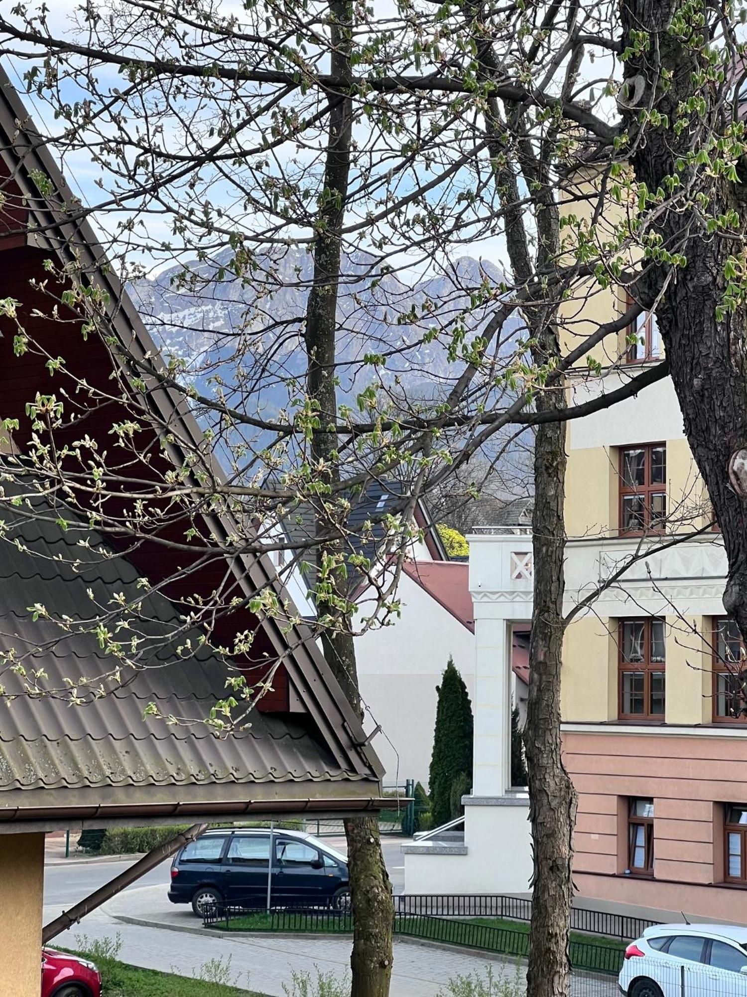 Willa Jasna Apartamenty Centrum Zakopane Exterior photo